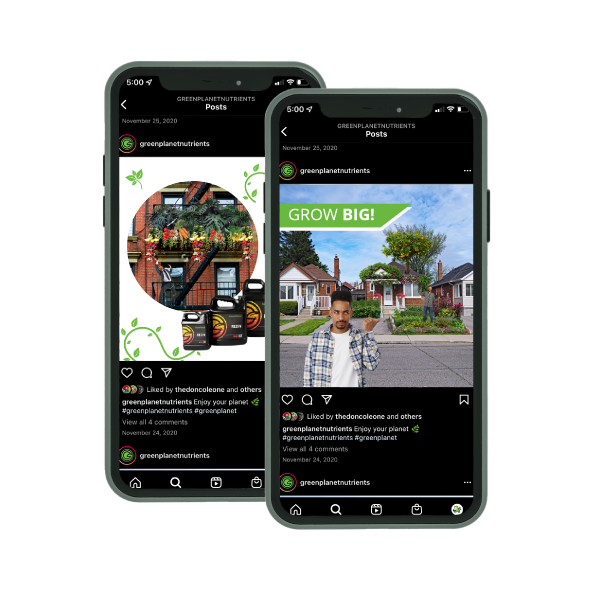 GPN_Startegic-Campaign-Design_There-Grows-the-Neighbourhood