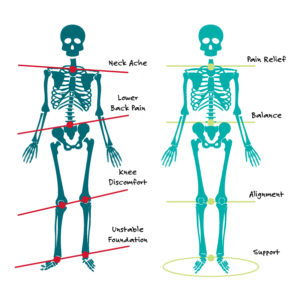 Custom-Brand-Illustration_Paris-everyBODY_Diagrams_Kinetic-Chain