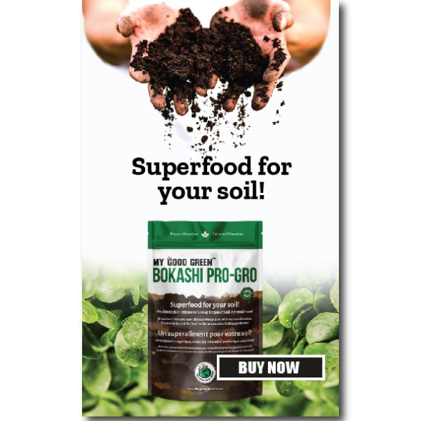 Bokashi PROGRO_Digital-Display-Ads_Banner-Portrait