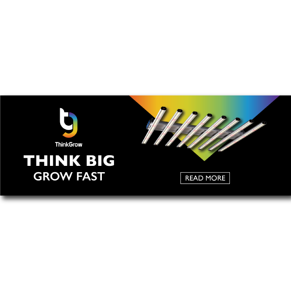 Think-Grow_Digital-Display-Ads_Banner-2