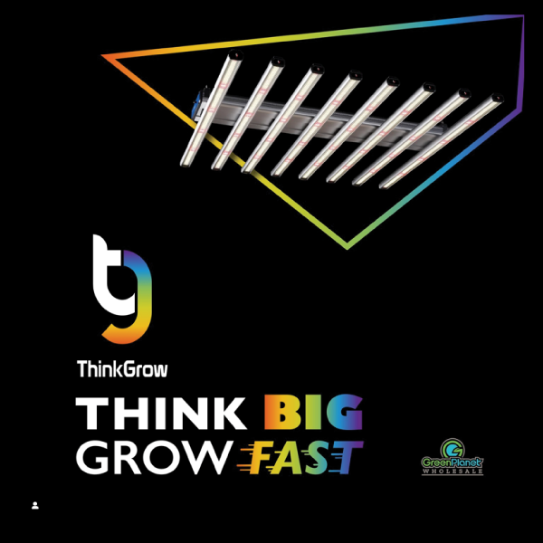 Think-Grow_Digital-Display-Ads_Sqaure